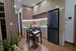 ハノイ賃貸アパート【The Matrix One Me Tri】80㎡・2LDK・湖ビュー・家具付き